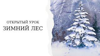 Как нарисовать елку и зимний лес | Простой урок акварели для начинающих | Быстрый скетч