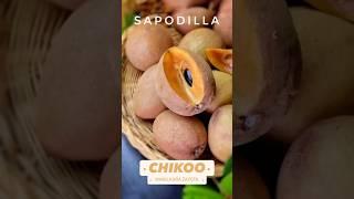 Chikoo - Sweet Fruit with Powerful Benefits!  #chikoo #chikoojuice  #healthyliving  #superfruit