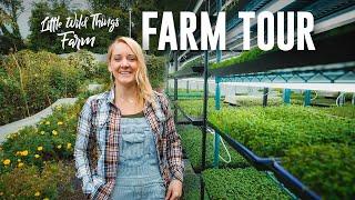 FULL TOUR of Little Wild Things MICROGREENS Farm in a DC Parking Garage!