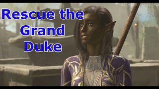 Rescue the Trapped Man - Baldur's Gate 3 - How Do You Rescue the Grand Duke?