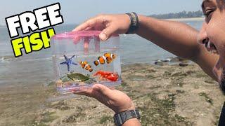 CATCHING SALTWATER FISH & CRABS !!!