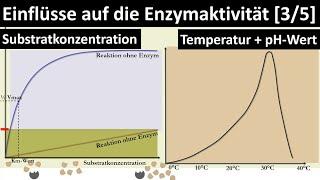 Einflüsse auf die Enzymaktivität [Substratkonzentration, Temperatur, pH-Wert, RGT-Regel] - [3/5]