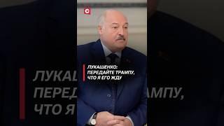 Лукашенко пригласил Трампа, Путина и Зеленского в Минск! #лукашенко #переговоры #интервью