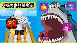 【Blox Fruits】米路5種果實打鯊魚王的方式   其中一種解放雙手   【20 update】【roblox 海賊王】【機械方塊】#onepiece