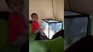 Naufal lagi maen bareng ikan #kpah_chanel #bangjhon'$ #keluargaAL