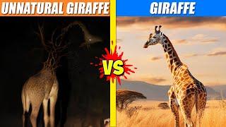 Unnatural Giraffe vs Giraffe | SPORE