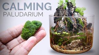 Calming Paludarium with Waterfalls