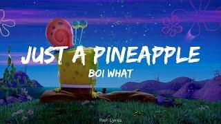 Boi What - Just A Pineapple [Lyrics]