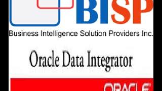 ADDING DATATYPES TO ORACLE DATA INTEGRATOR