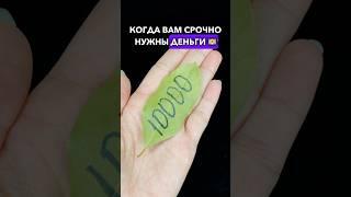 КОГДА ВАМ СРОЧНО НУЖНЫ ДЕНЬГИ  ЛАВРОВЫЙ ЛИСТ #лавровыйлист #заговоры #народныеприметы