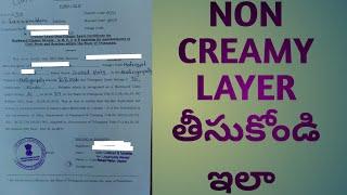 how to take non creamy layer certificate... which certificates to usefull for NCL