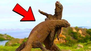 Biggest Creatures Captured Of All Time!