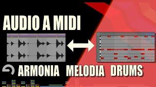 Convertir AUDIO en MIDI de Melodias / Armonias / Drums de Loops o Canciones usando Ableton Live