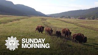 Ted Turner's nature preserves: A carefully curated "Heaven on Earth"