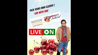 Pick your own cherry ! Live with Saif