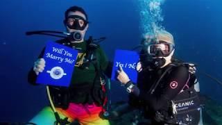 Forever Divebuddy