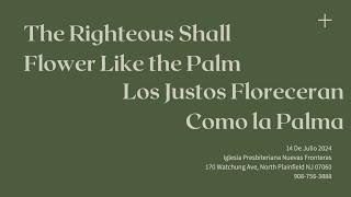 EL JUSTO FLORECERA COMO LA PALMA - THE RIGHTEOUS  SHALL FLOWER LIKE THE PALM