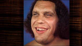 Andre The Giant | Best Moments