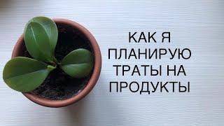 КАК Я ПЛАНИРУЮ ТРАТЫ НА ПИТАНИЕ.