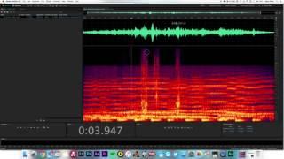 Fixing Audio With Adobe Audition Part 1 - The Spot Healing Brush Tool