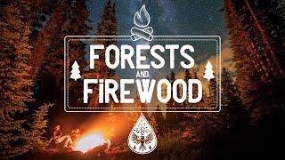 Forests & Firewood  - An Indie/Folk/Pop Campfire Playlist ️