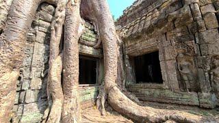 Ta Prohm Temple Tour 4K - Siem Reap Cambodia 2023