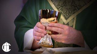 Catholic Mass Today: 5/29/24 | Wednesday of the Eighth Week in Ordinary Time