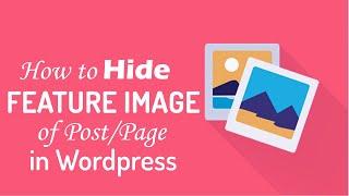 How to Hide Page/Post Featured Image on WordPress with 1 Click