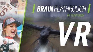 CrashCourse | Brain Fly-Through (VR)