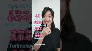 Basic Chinese Greetings | Kalimat sapaan dasar dalam bahasa Mandarin