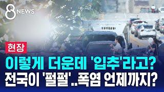 [현장] 입추에도 폭염 특보…다음 주까지 무더위 / SBS 8뉴스