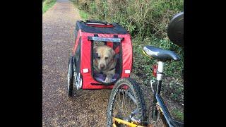 best bicycle trailer for dogs