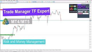 Trade Manager TF Expert in MetaTrader 5 Download - Free – [TradingFinder]