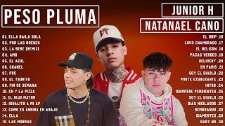 Peso Pluma, Natanael Cano, Junior H - Grandes éxitos Mix 2023 |LAS MEJORES CANCIONES 2023