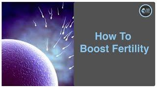 How To Boost Fertility to Get Pregnant | Safe IVF Centre