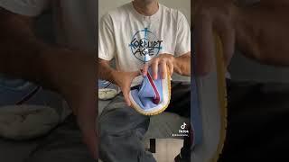 Unboxing Nike SB Dunk Phillies