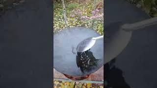 Рыба корюшка на садже