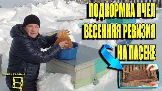 ПОДКОРМКА ПЧЕЛ МЕДОМ. ВЕСЕННИЕ РАБОТЫ НА ПАСЕКЕ №1. НАЧИНАЮЩЕМУ ПЧЕЛОВОДУ. ЛЮБИТЕЛЬСКОЕ ПЧЕЛОВОДСТВО