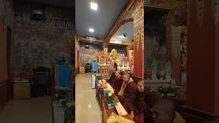 Anniversary puja of Guru Sant Rakshita in the presence of Chief Guru Khen Rinpoche #shortvideo