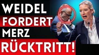 Kapitulation auf den Knien von Merz, CDU und Spd️Alice Weidel in Bestform️