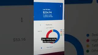 Micro niche site Adsense earnings  #blogging #adsense #blogger #website