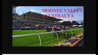 13 ARALIK 2024 MOONEE VALLEY AVUSTRALYA ALTILI GANYAN TAHMINLERI CUMA (PREMIUM STAR OZEL)