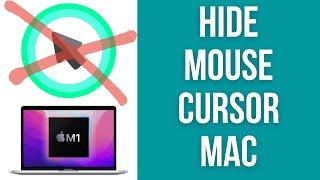 How To Hide Mouse Cursor macOS (Cursorcerer)