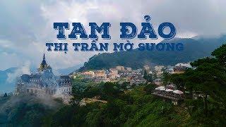 Tam Đảo | Thị Trấn Sương Mù | Cảnh Đẹp VIỆT NAM | Flycam 4K