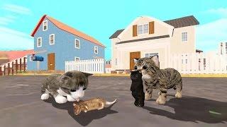 Cat Sim (by Turbo Rocket Games) Android Gameplay [HD]