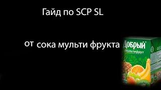 Гайд как создать сервер и играть с друзьями SCP SL (осторожно в видео голос шкилы из 3 б)