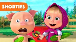 Masha and the Bear Shorties  NEW STORY  Come on let's share (Episode 20) 