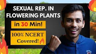 Sexual Reproduction in Flowering Plants FAST One SHOT!| Full Revision in 20 Min | Class 12 | NEET