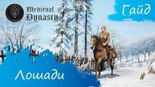 Medieval Dynasty - Гайд - Лошади