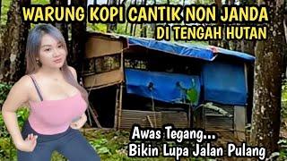 WARUNG KOPI CANTIK NON JANDA DI TENGAH HUTAN SENDIRIAN || awas tegang lupa pulang